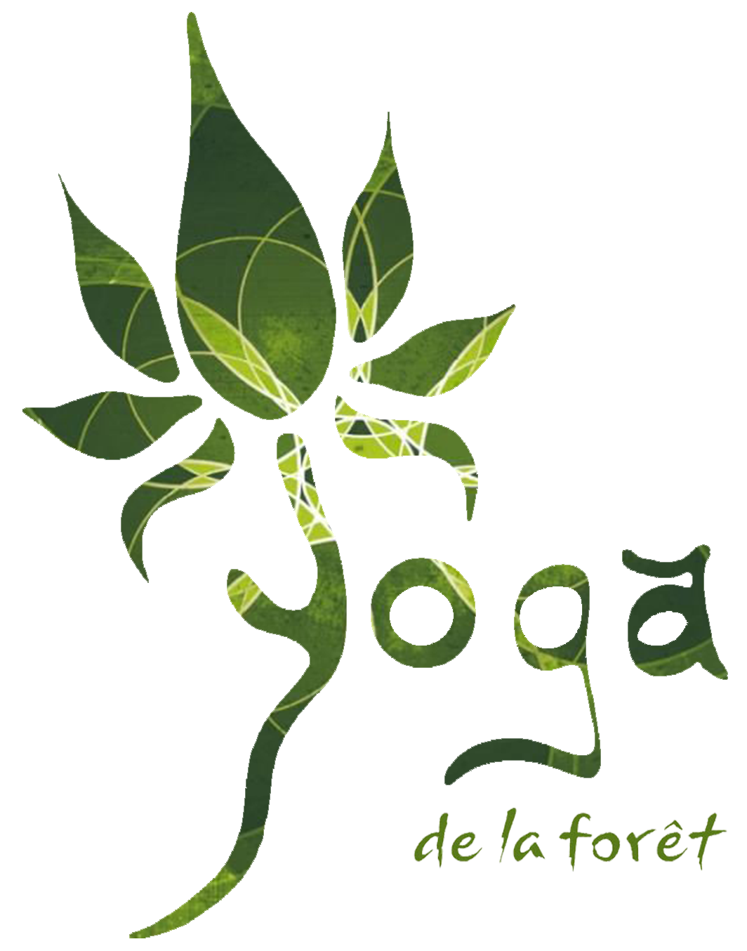 Cours de Yoga et Méditation en ligne et en direct…